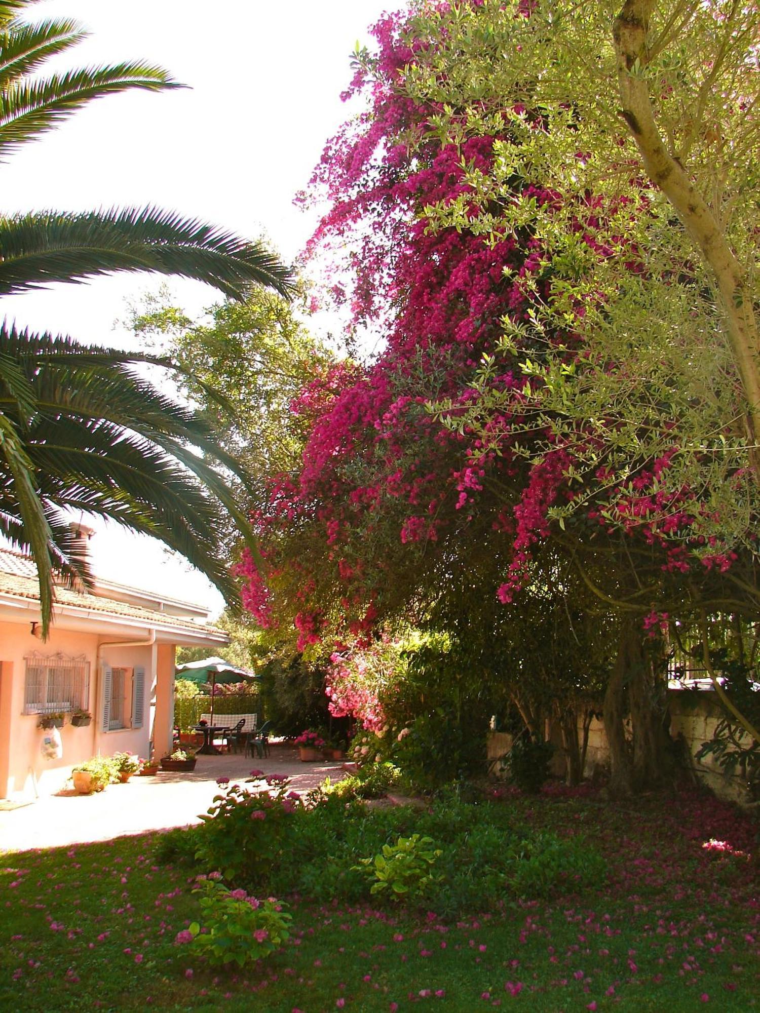 סאסארי Parco Delle Valli מראה חיצוני תמונה